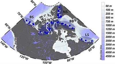 Environmental and Biological Determinants of Algal Lipids in Western Arctic and Subarctic Seas